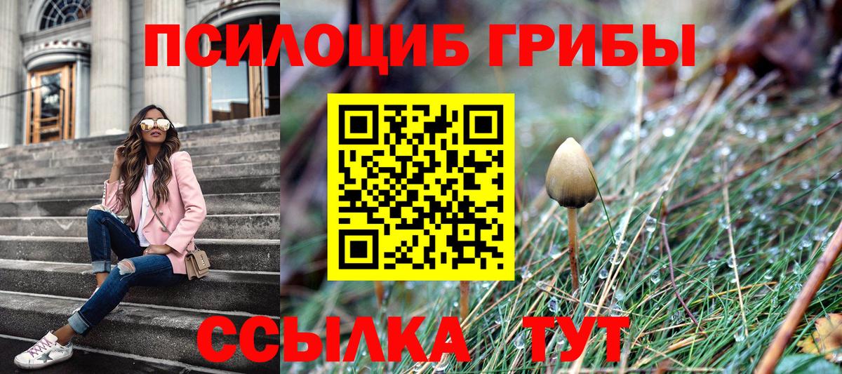 Псилоцибиновые грибы мицелий Первоуральск